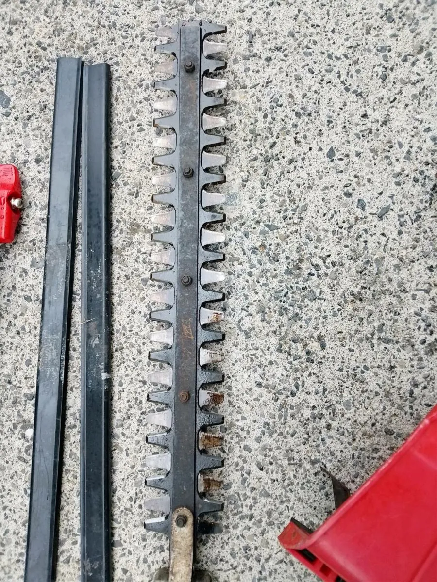 Strimmer - Image 3