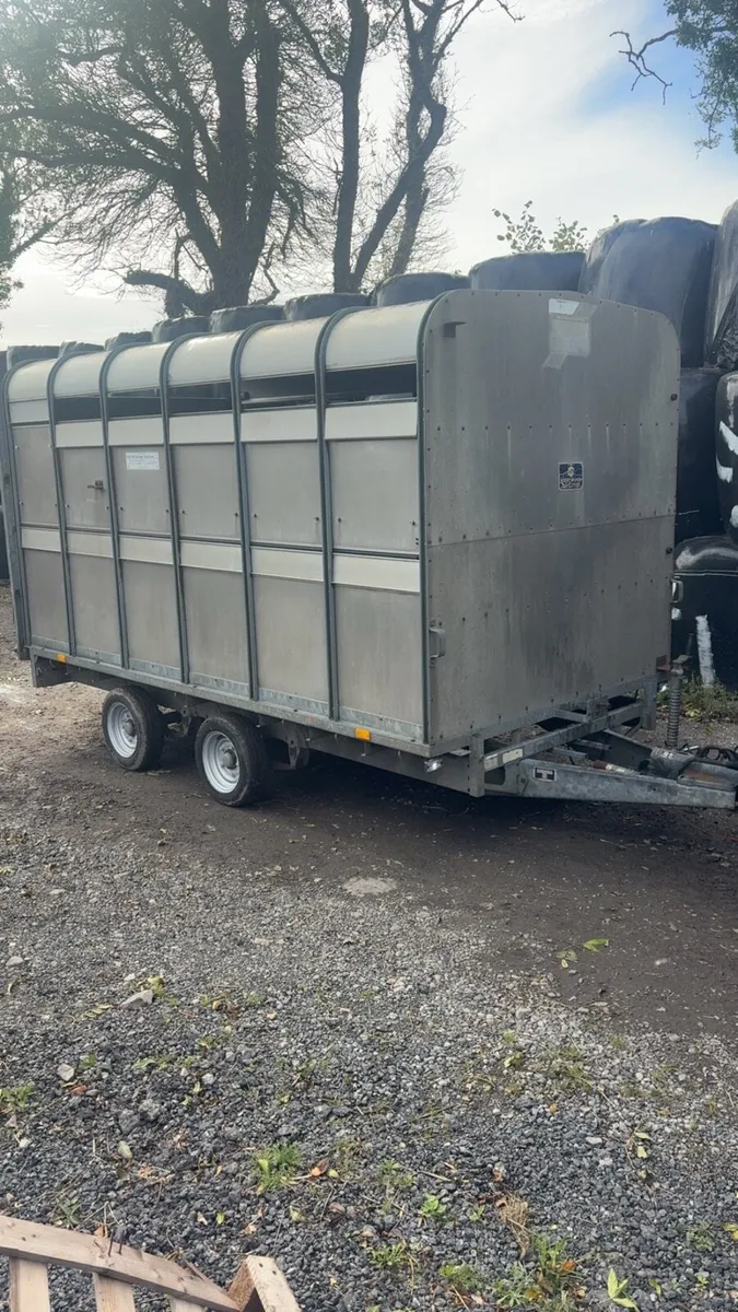 12ft ifor williams cattle trailer - Image 1