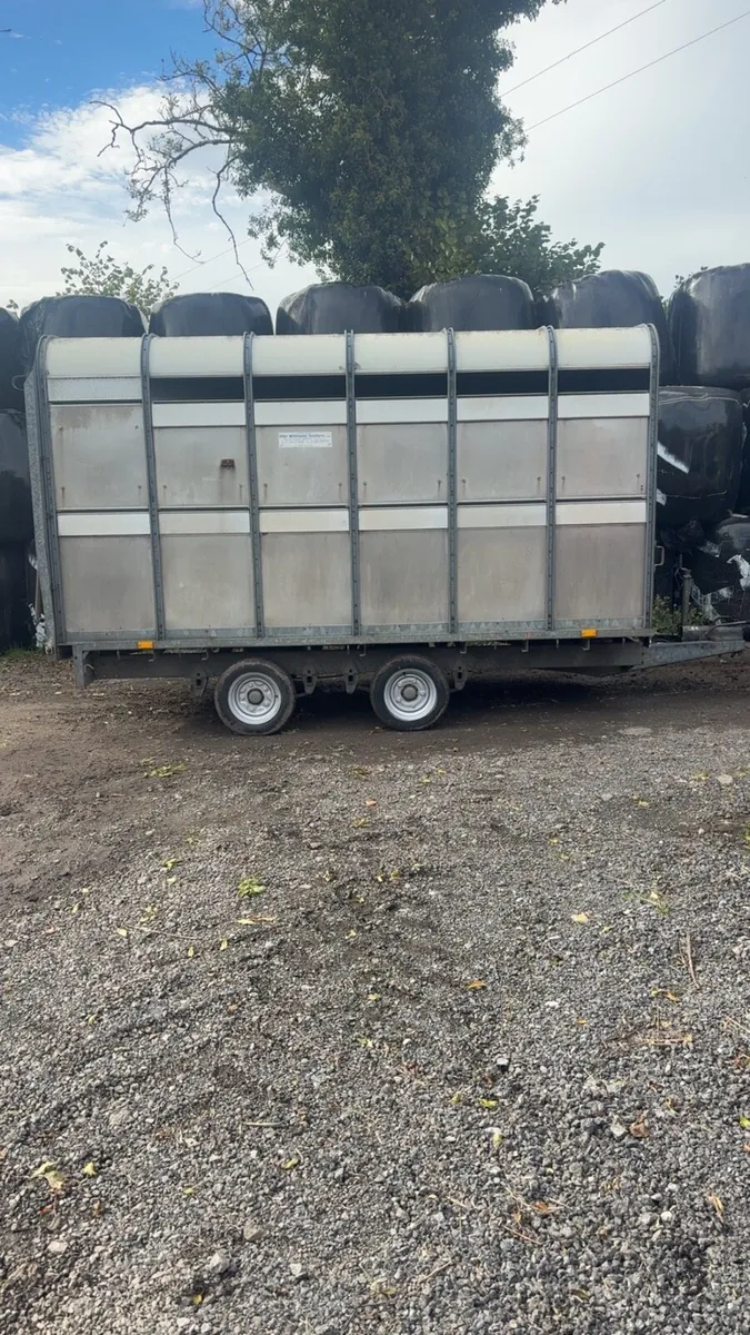 12ft ifor williams cattle trailer - Image 2
