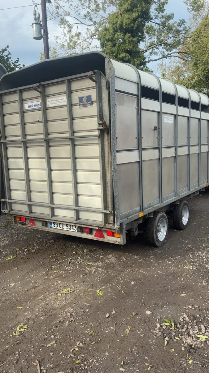 12ft ifor williams cattle trailer - Image 3