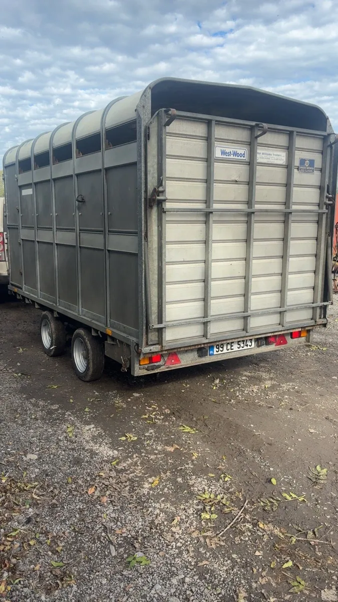 12ft ifor williams cattle trailer - Image 4