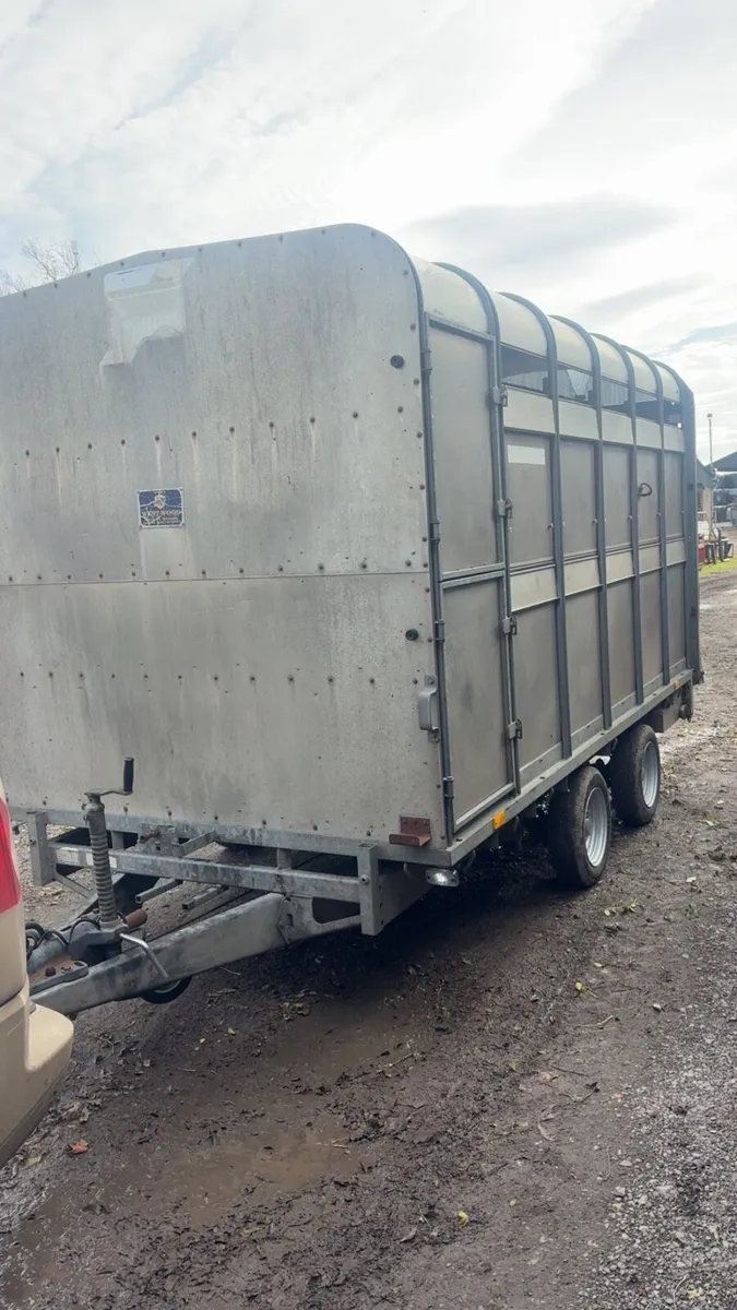 12ft ifor williams cattle trailer - Image 3