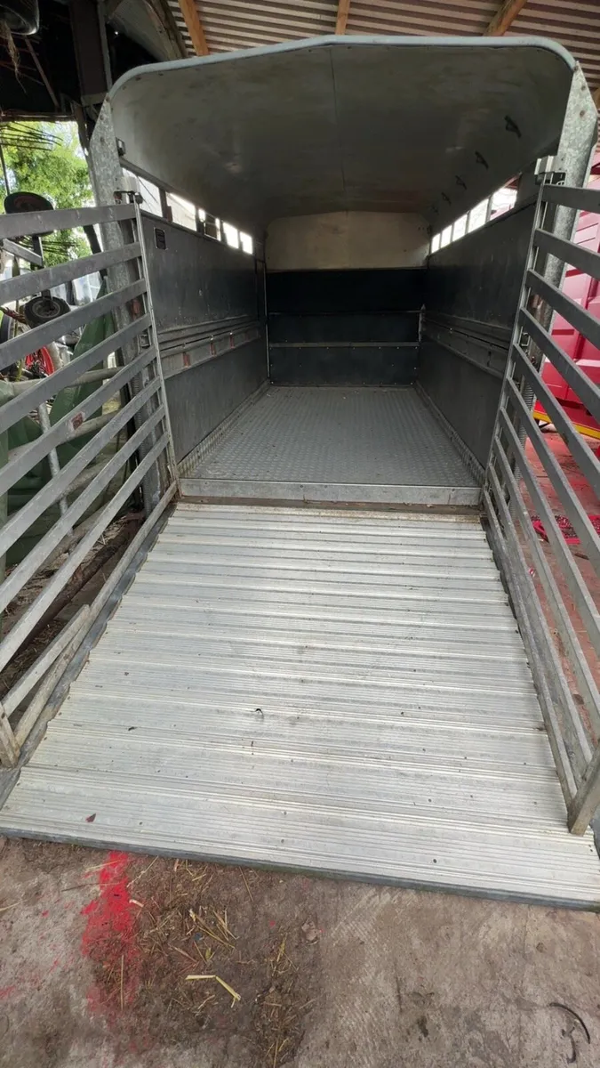 12ft ifor williams cattle trailer - Image 4