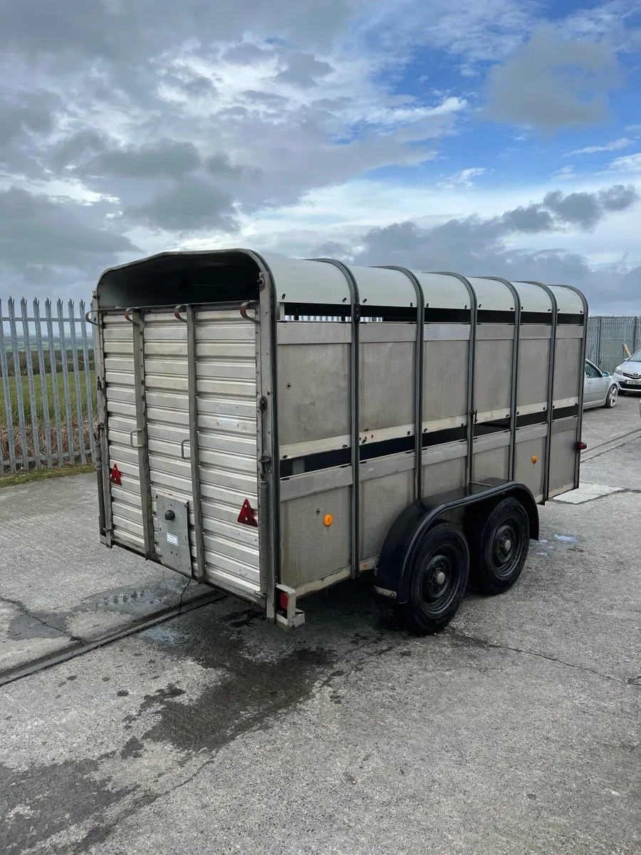 Ifor Williams Livestock Trailer - Image 4
