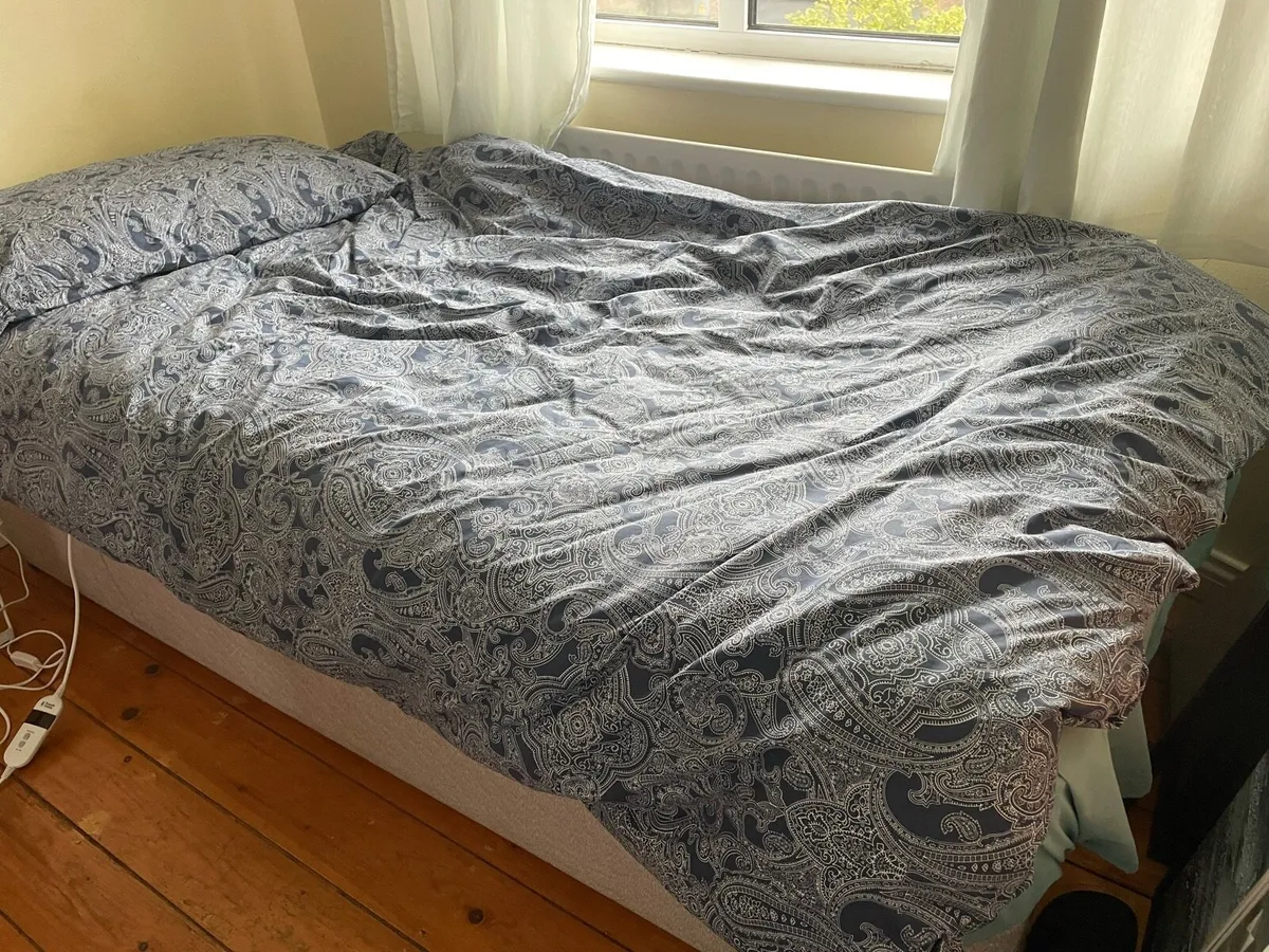 One Double and One Single Bed: Best Offer Secures - Image 3