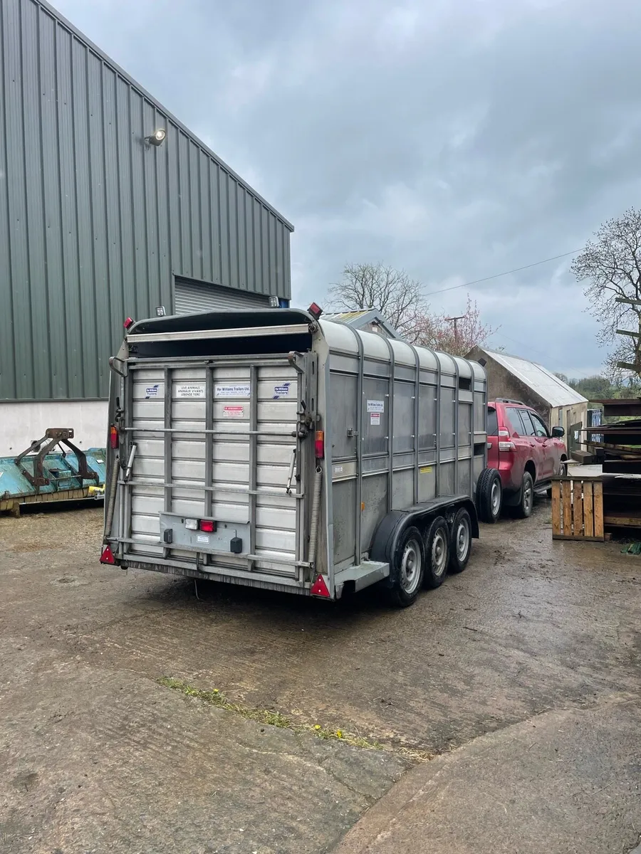 Ifor Williams 14ft Trailer with Sheep Decks - Image 2