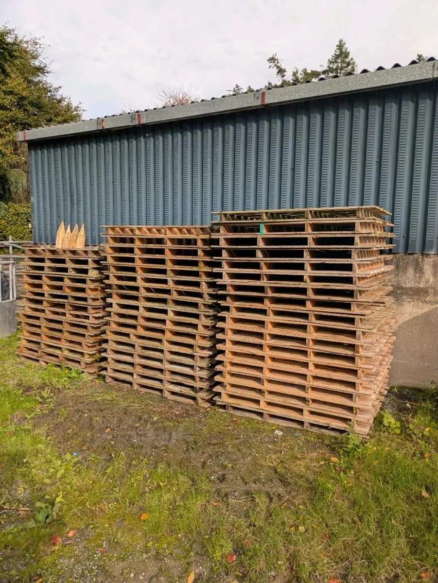 Wooden Pallets For collection - Image 1