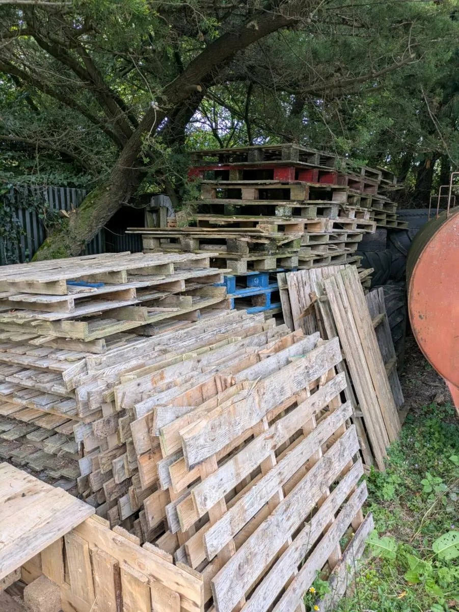 Wooden Pallets For collection - Image 2