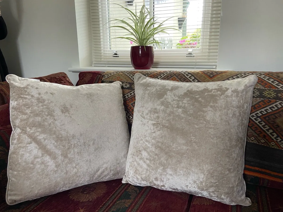Cushions - Catherine Lansfield covers - Image 3