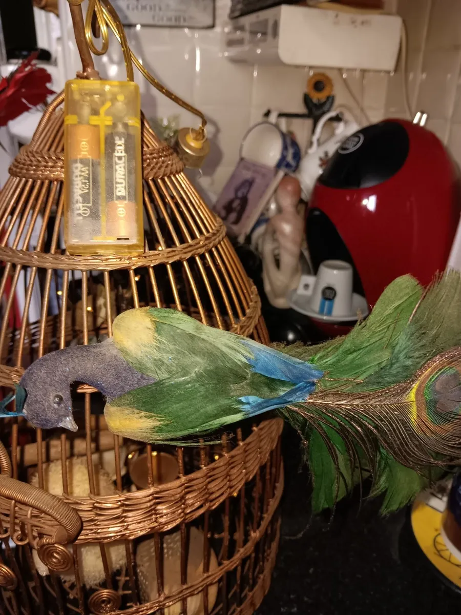 Vintage  elegant bird cage - Image 4