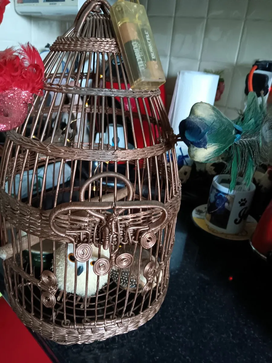 Vintage  elegant bird cage - Image 1