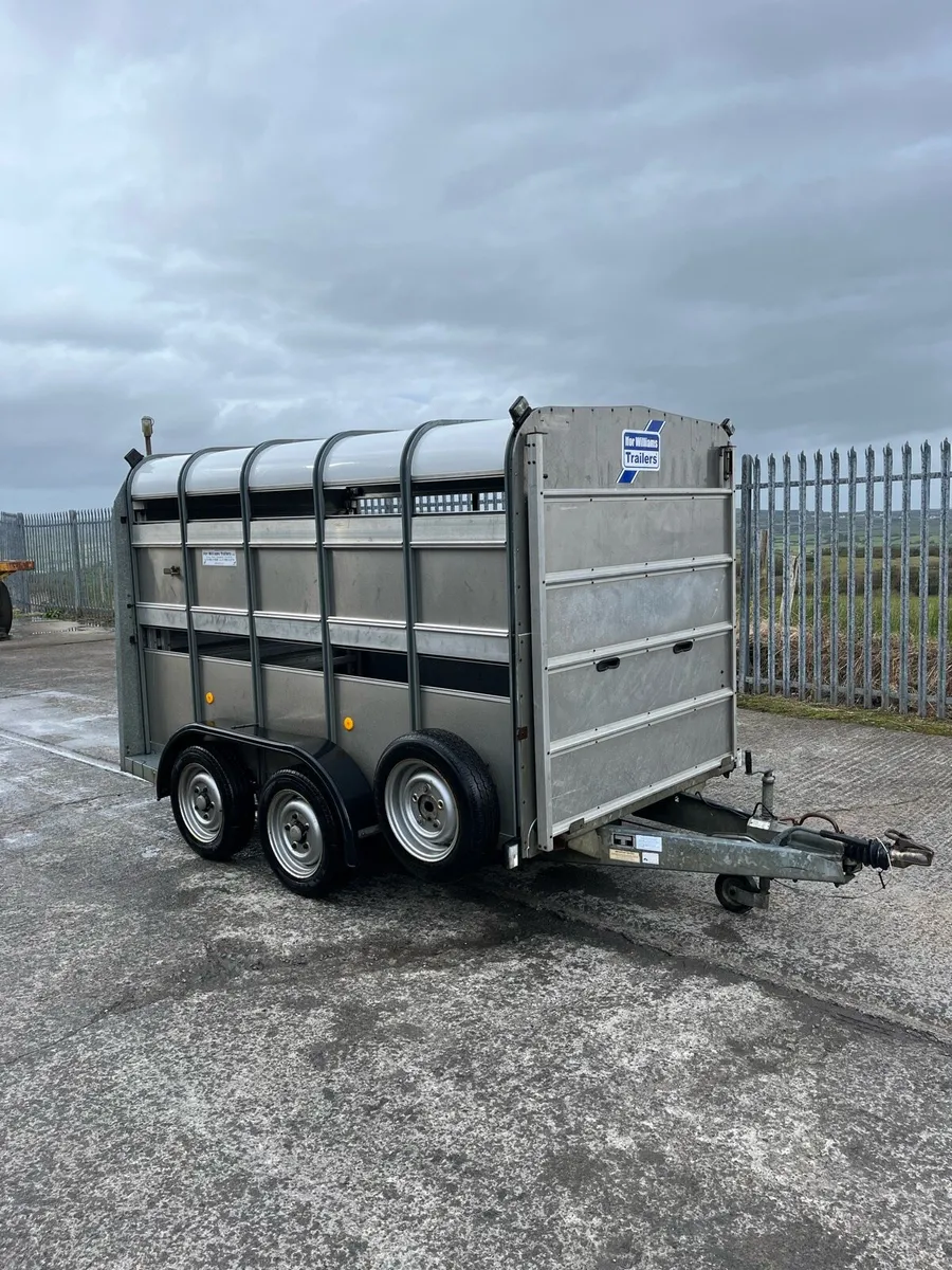 Ifor Williams Livestock Trailer - Image 1