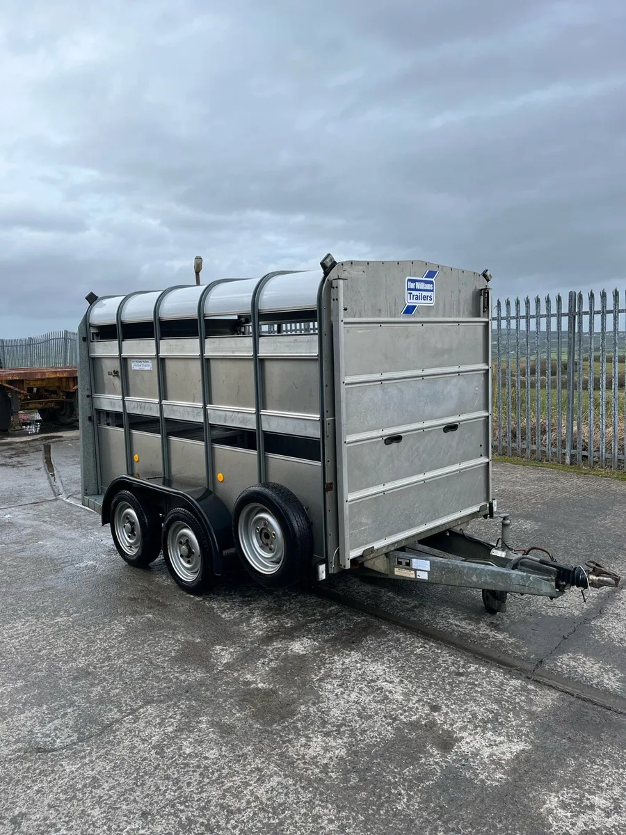 Ifor Williams Livestock Trailer - Image 2