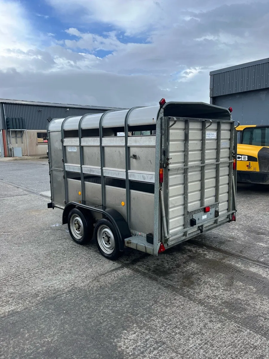 Ifor Williams Livestock Trailer - Image 4