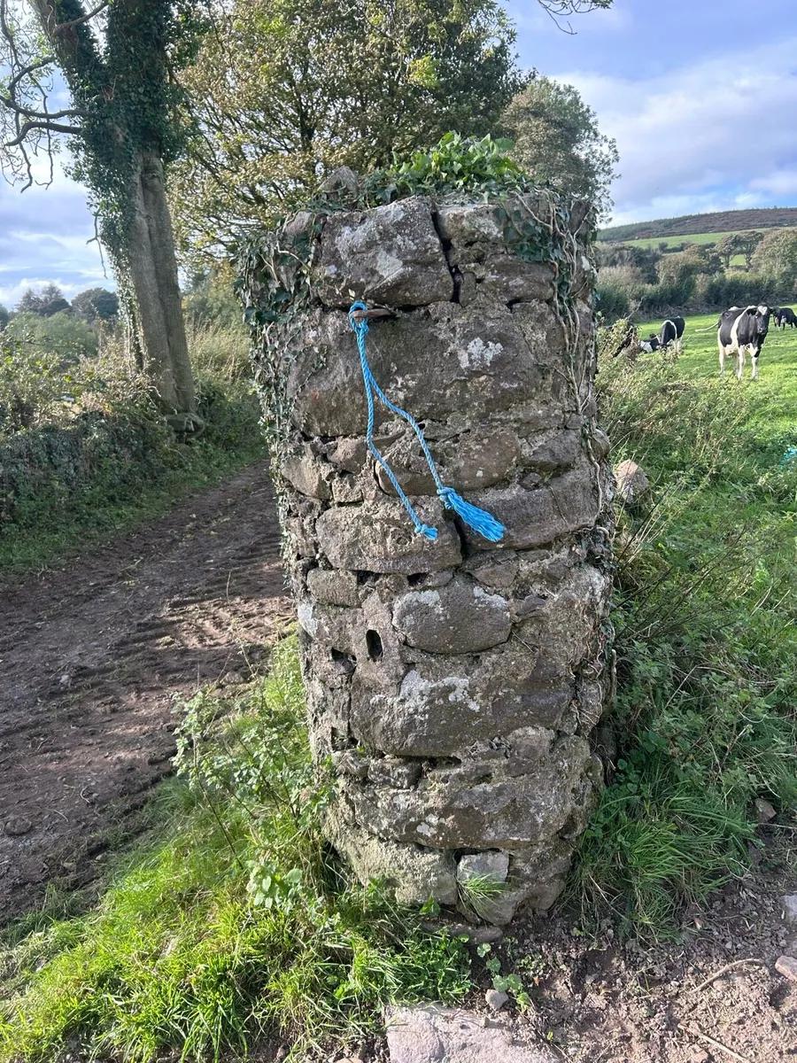 Old salvage brown fieldstone building stone - Image 2
