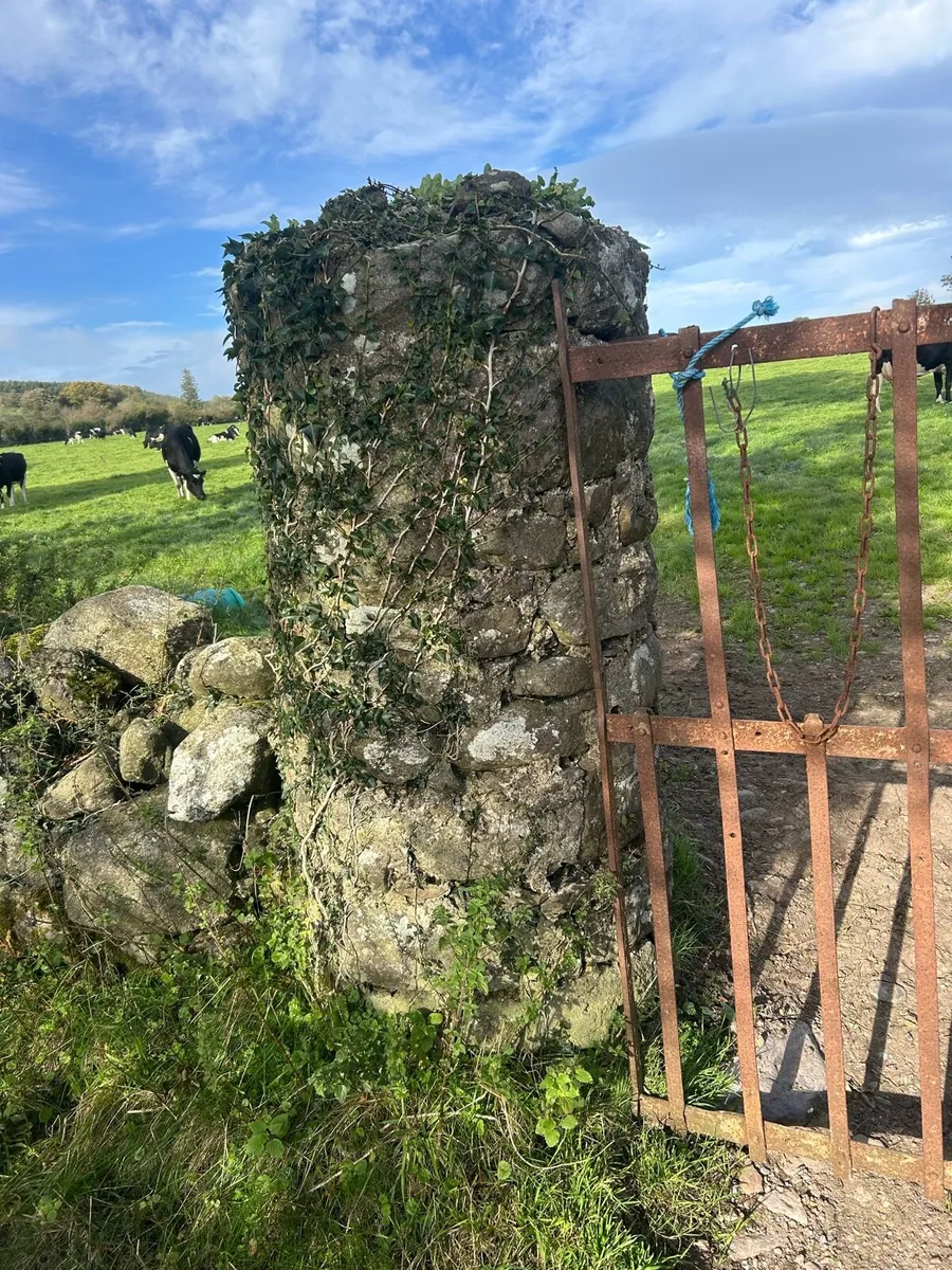 Old salvage brown fieldstone building stone - Image 3