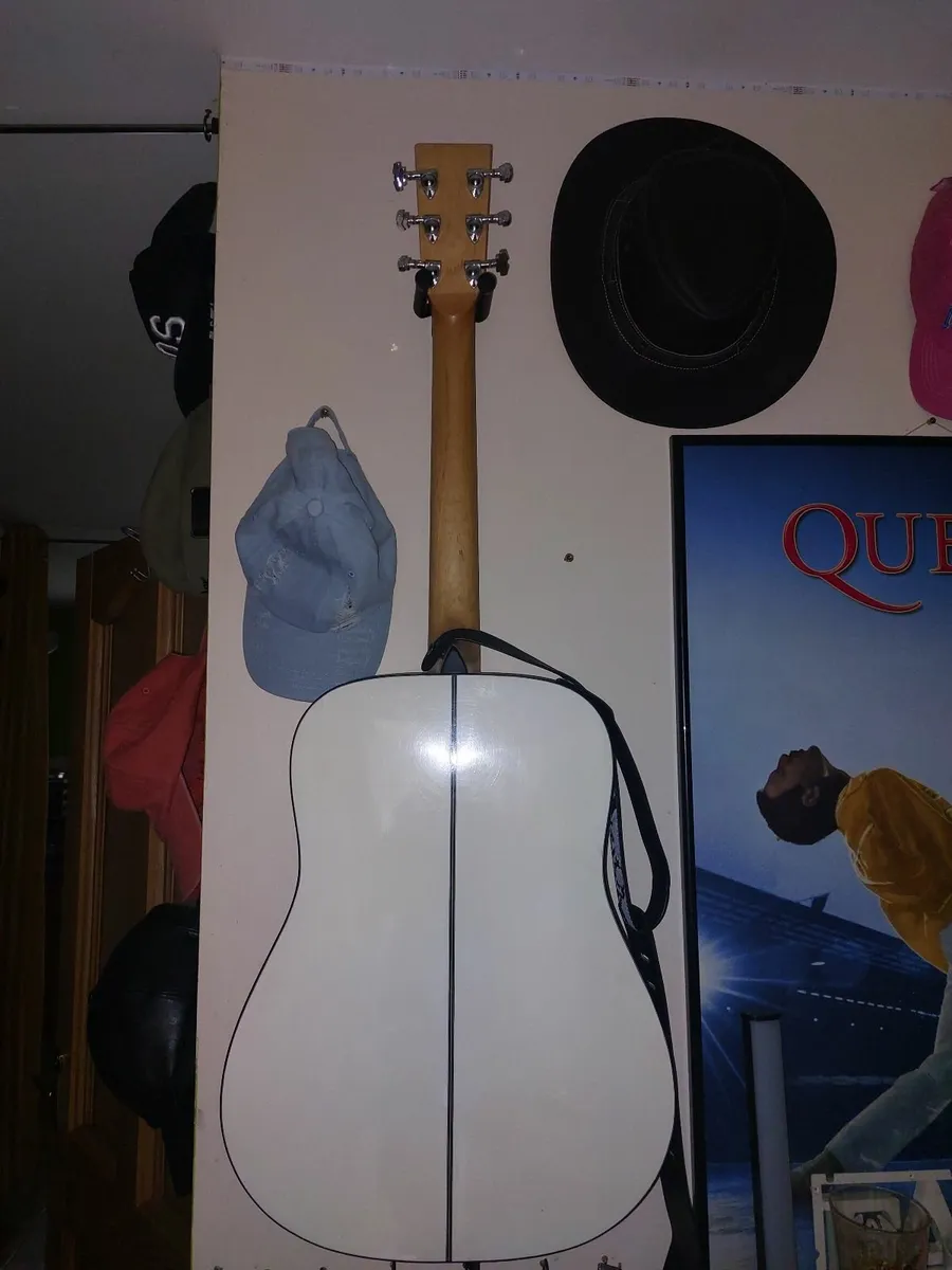 Tanglewood seagul acoustic electric Guitar. - Image 2