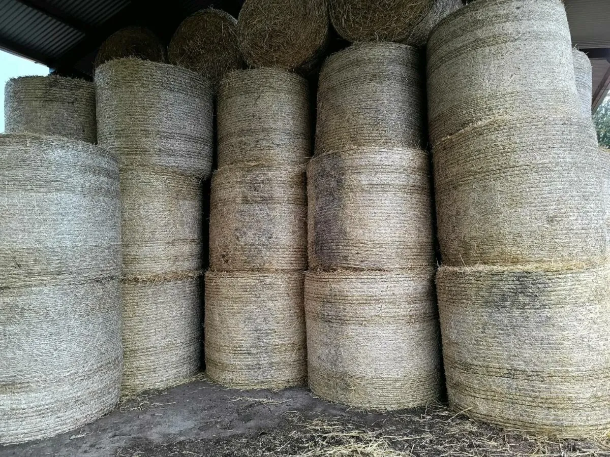 Barley straw 4x4