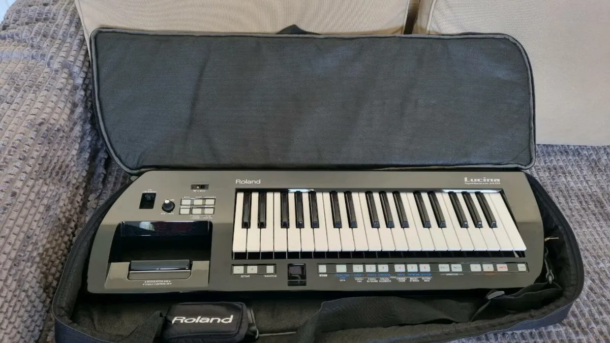 Roland Lucina and Roland Pro E - Image 2
