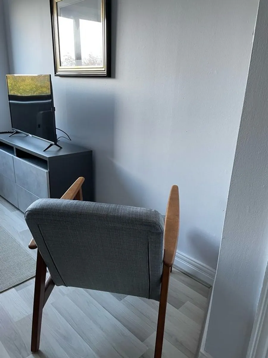 Popular Armchair - IKEA Ekenaset - Image 2