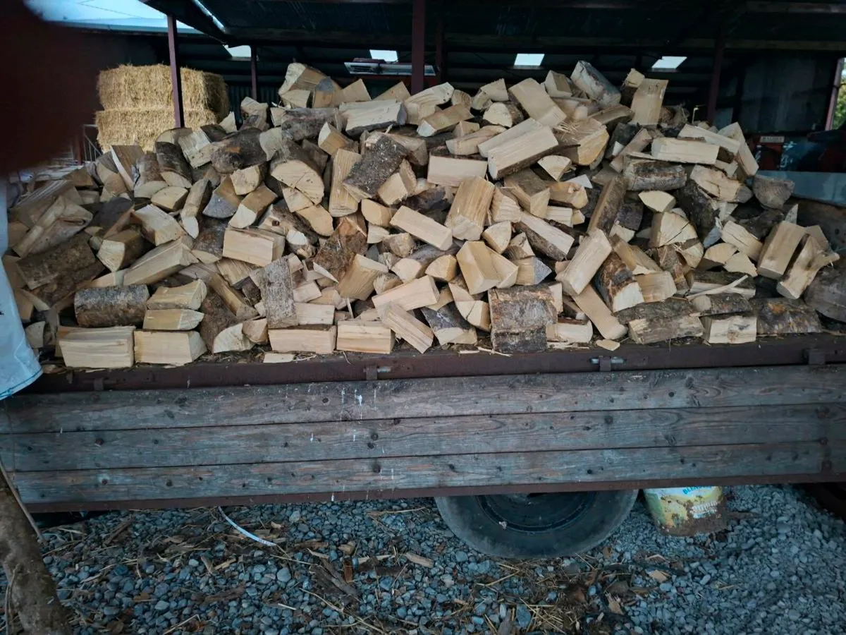 Firewood/coal deals - Image 1