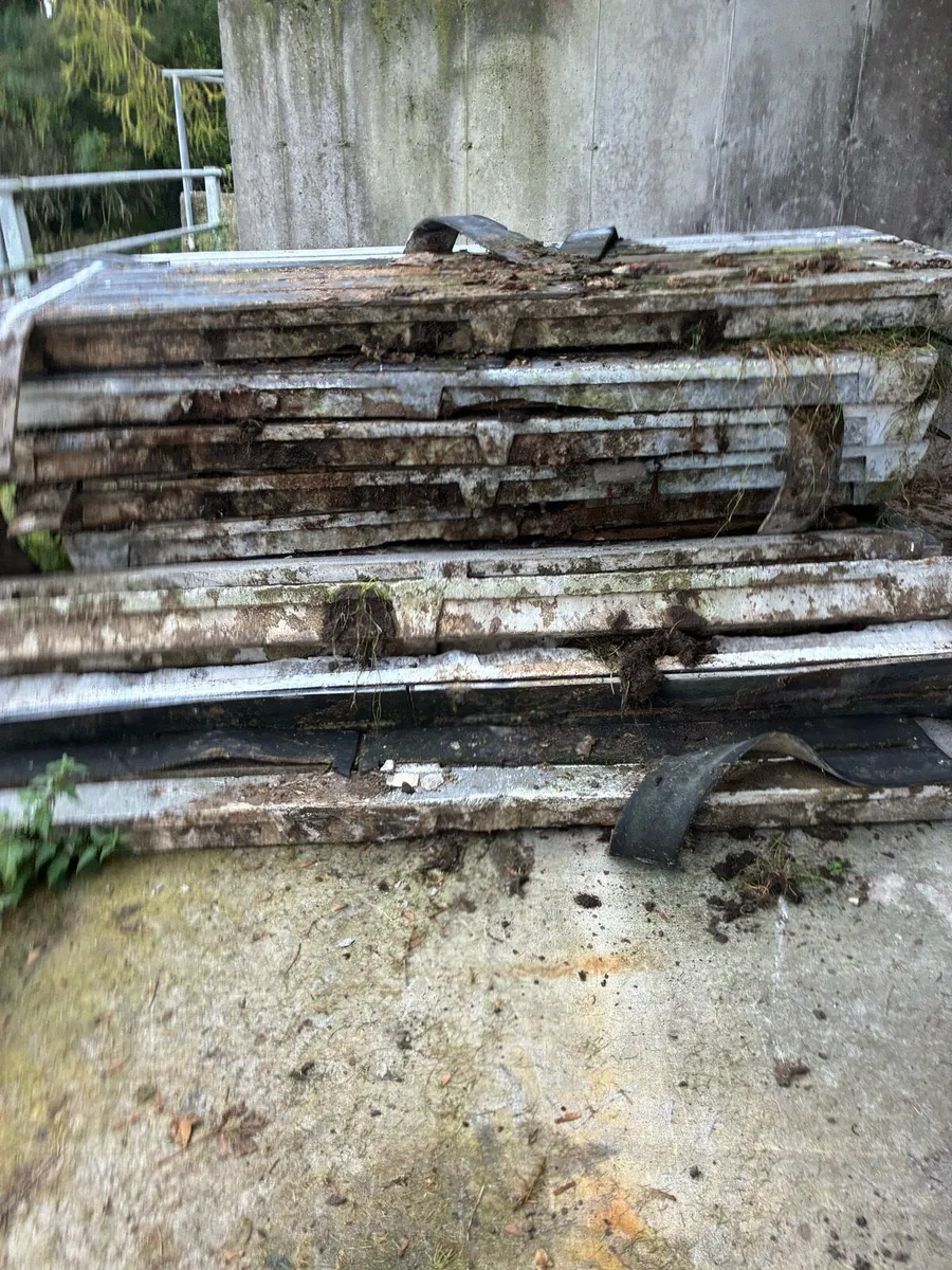 Cattle slats - Image 3