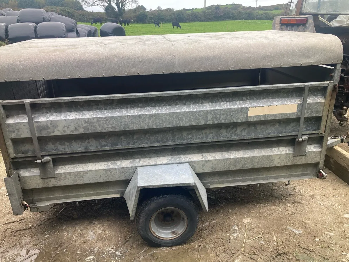 Sheep/pig/calf trailer - Image 1