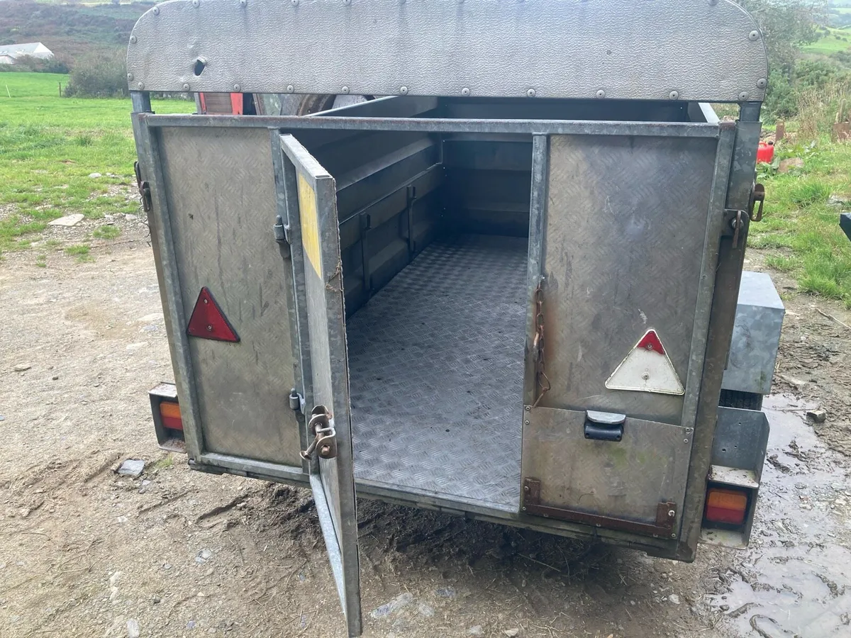 Sheep/pig/calf trailer - Image 3