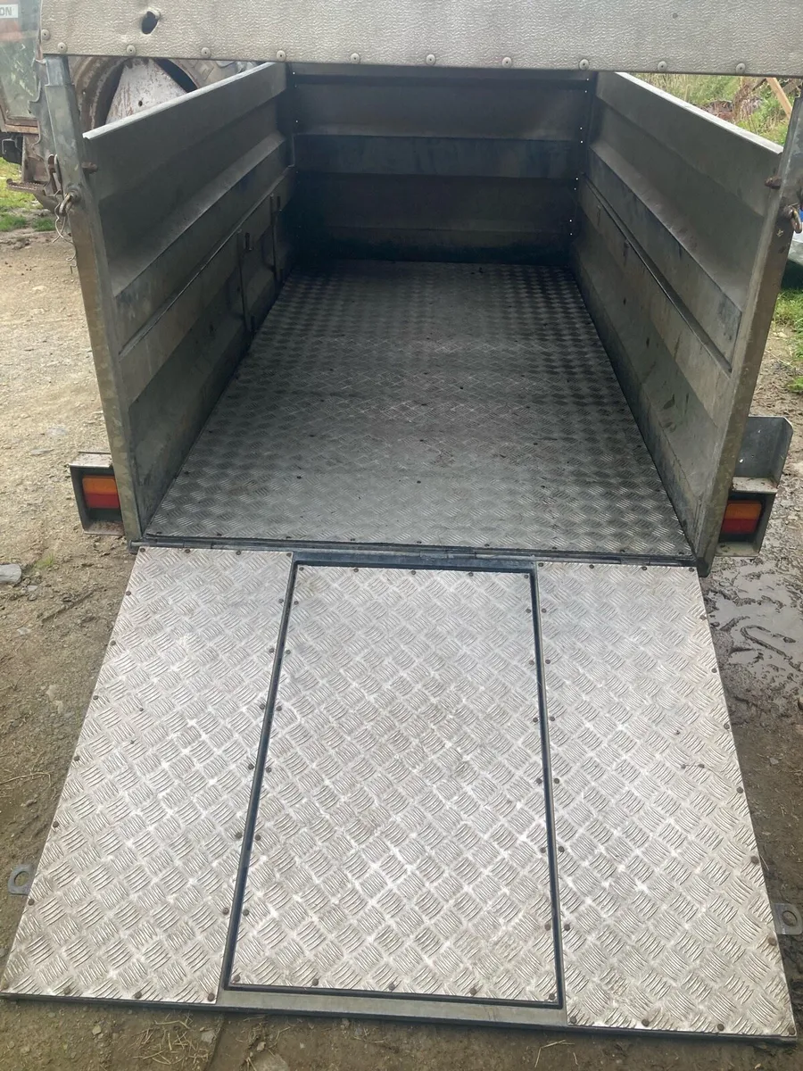 Sheep/pig/calf trailer - Image 4