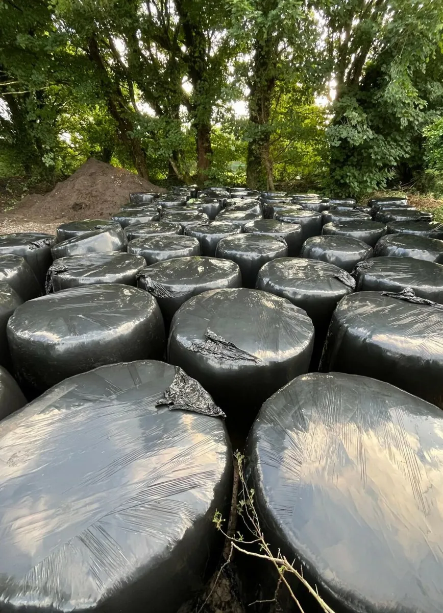 Silage