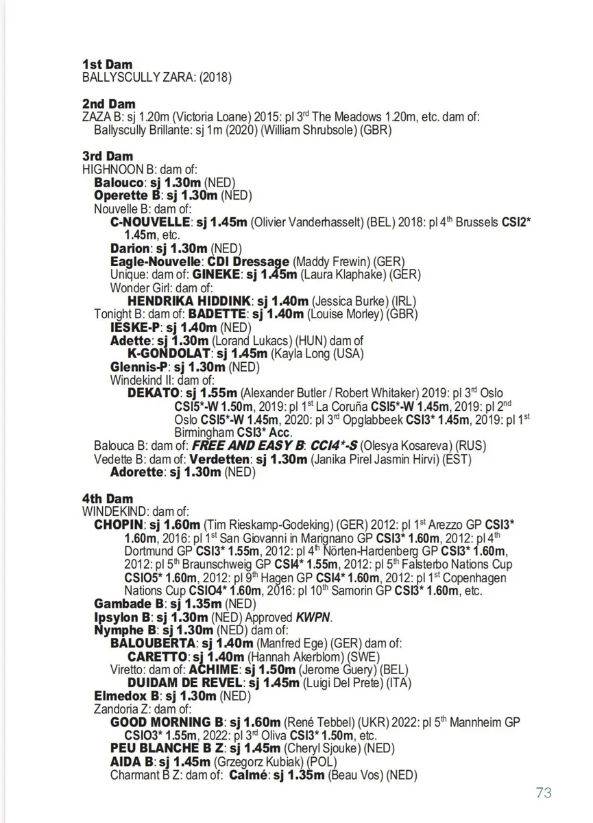 Foal - Image 3