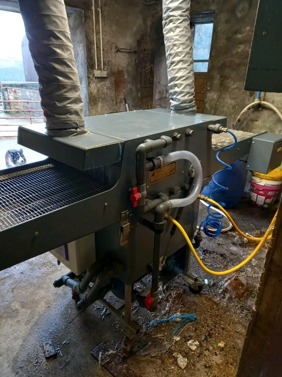 Egg Washer - Image 2