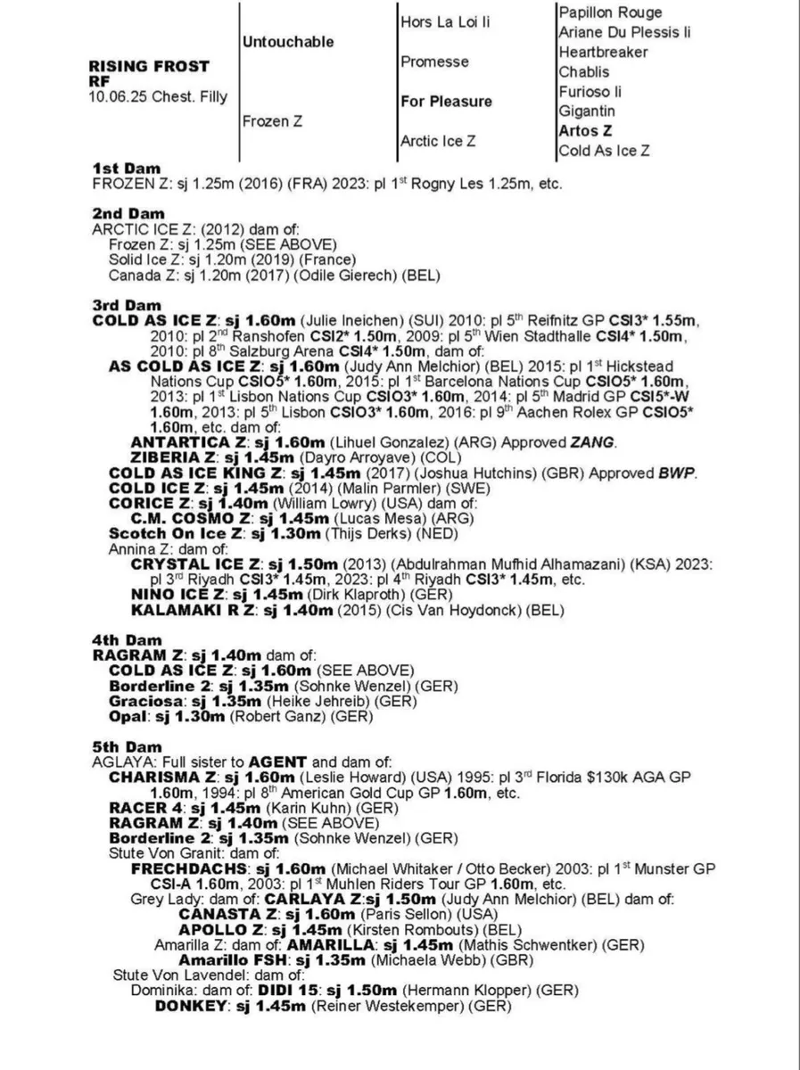 UNTOUCHABLE FILLY strong damline - Image 3