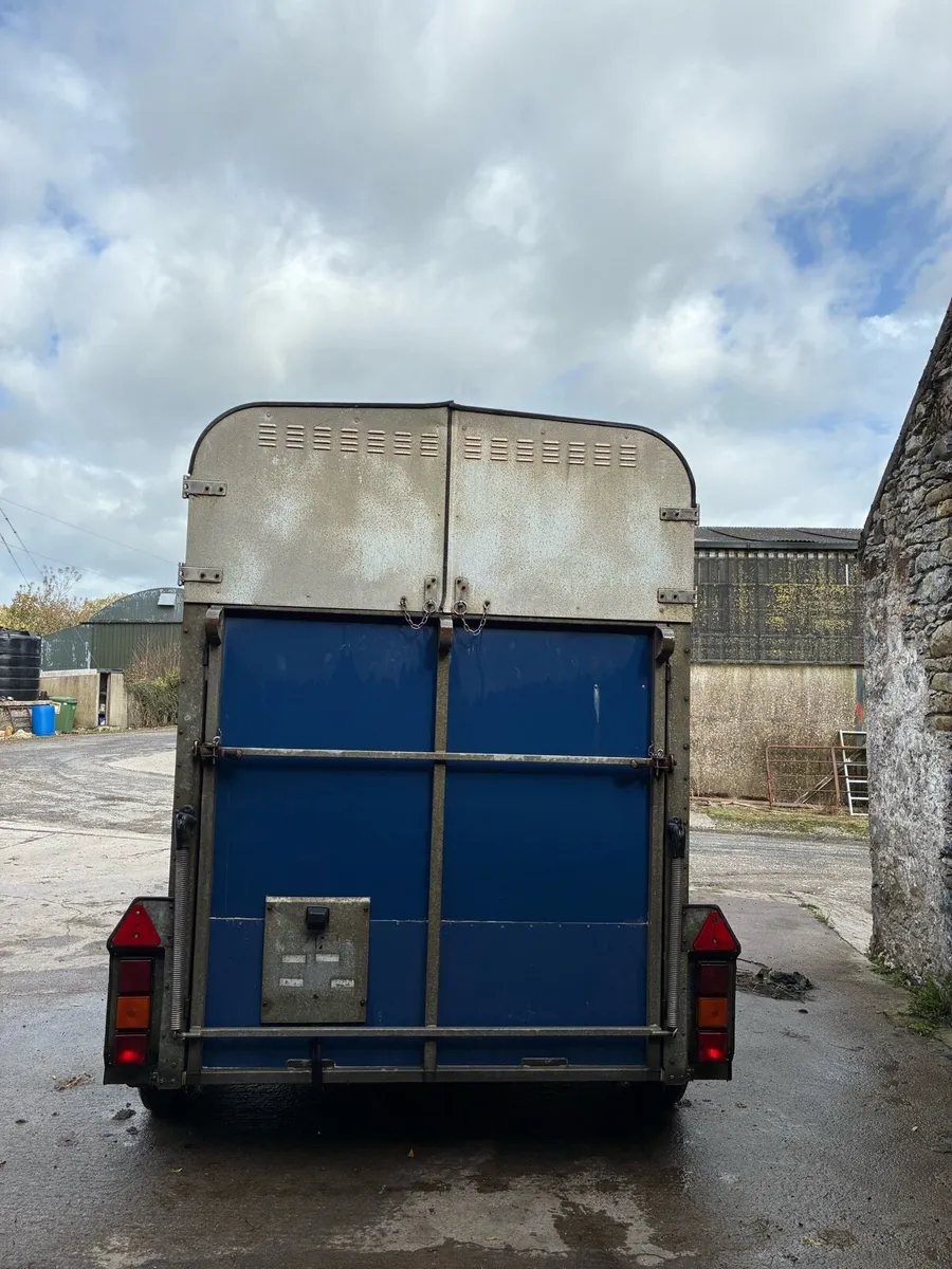 Ifor Williams HB505 - Image 3