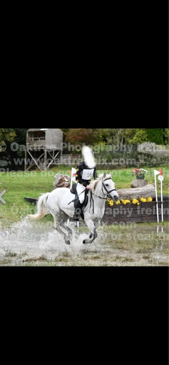 128 all rounder pony - Image 1
