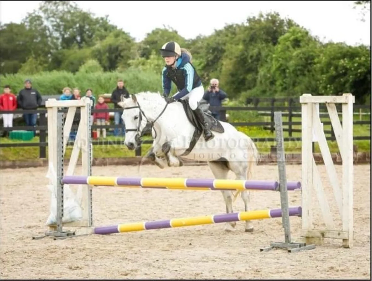 128 all rounder pony - Image 2