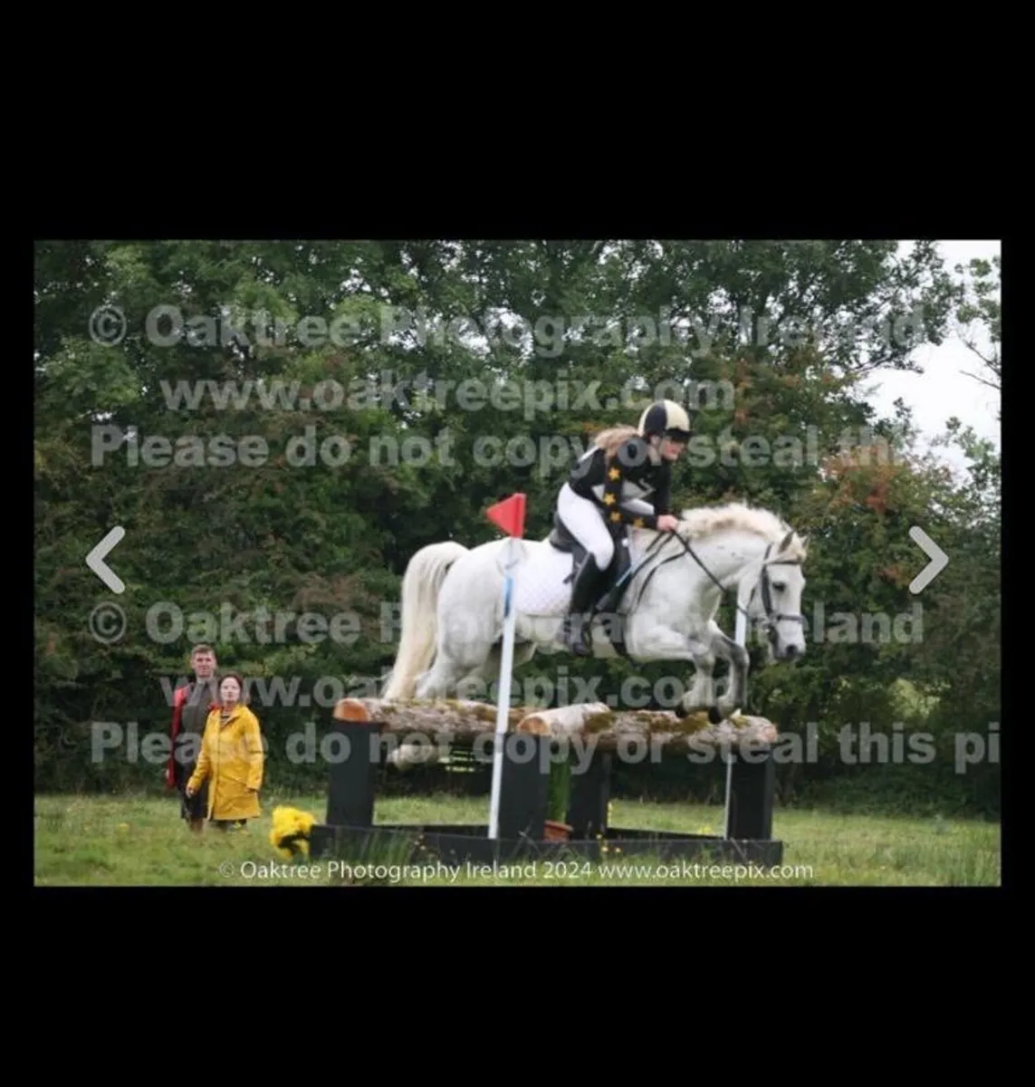 128 all rounder pony - Image 3