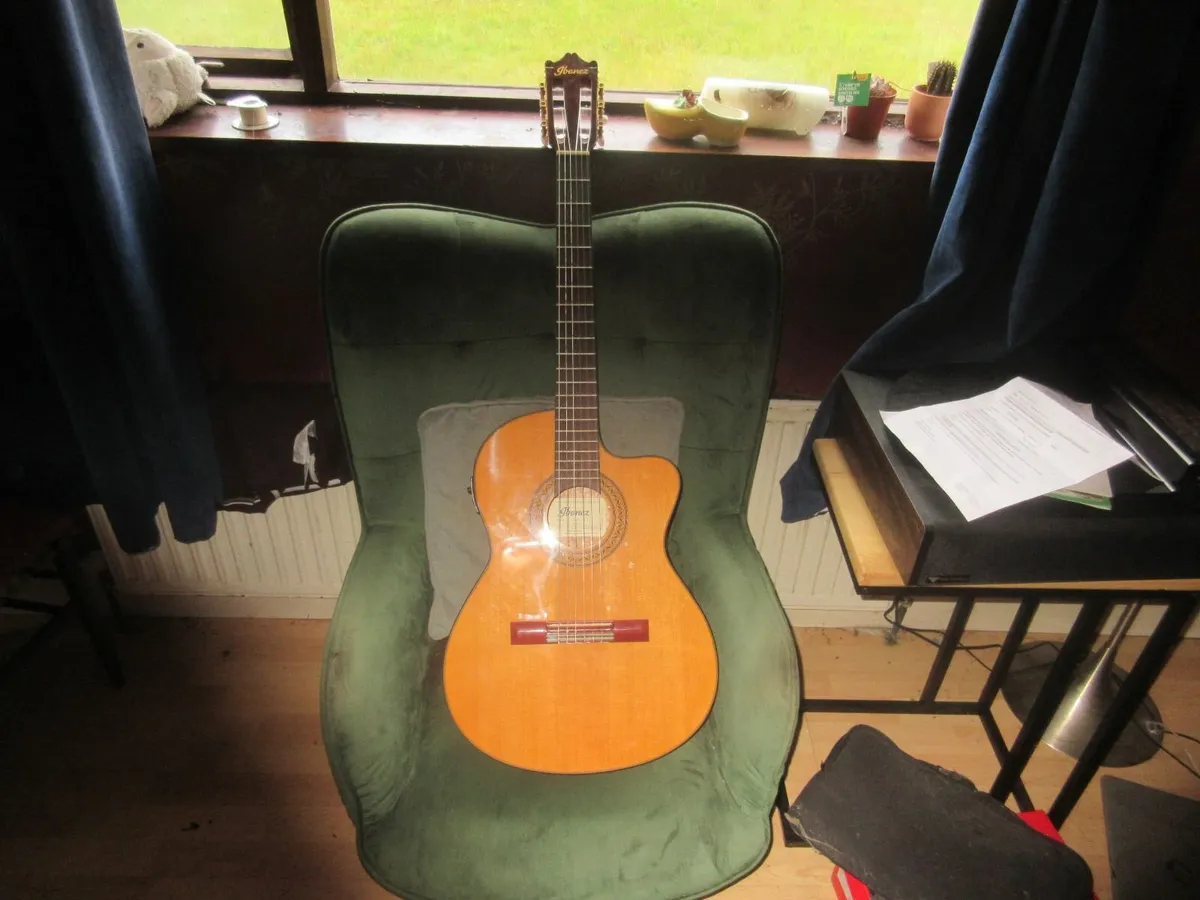 Ibanez nylon string guitar - Image 1