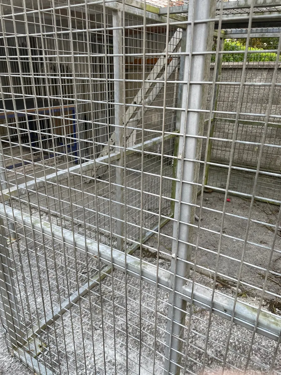 Dog run - Image 2