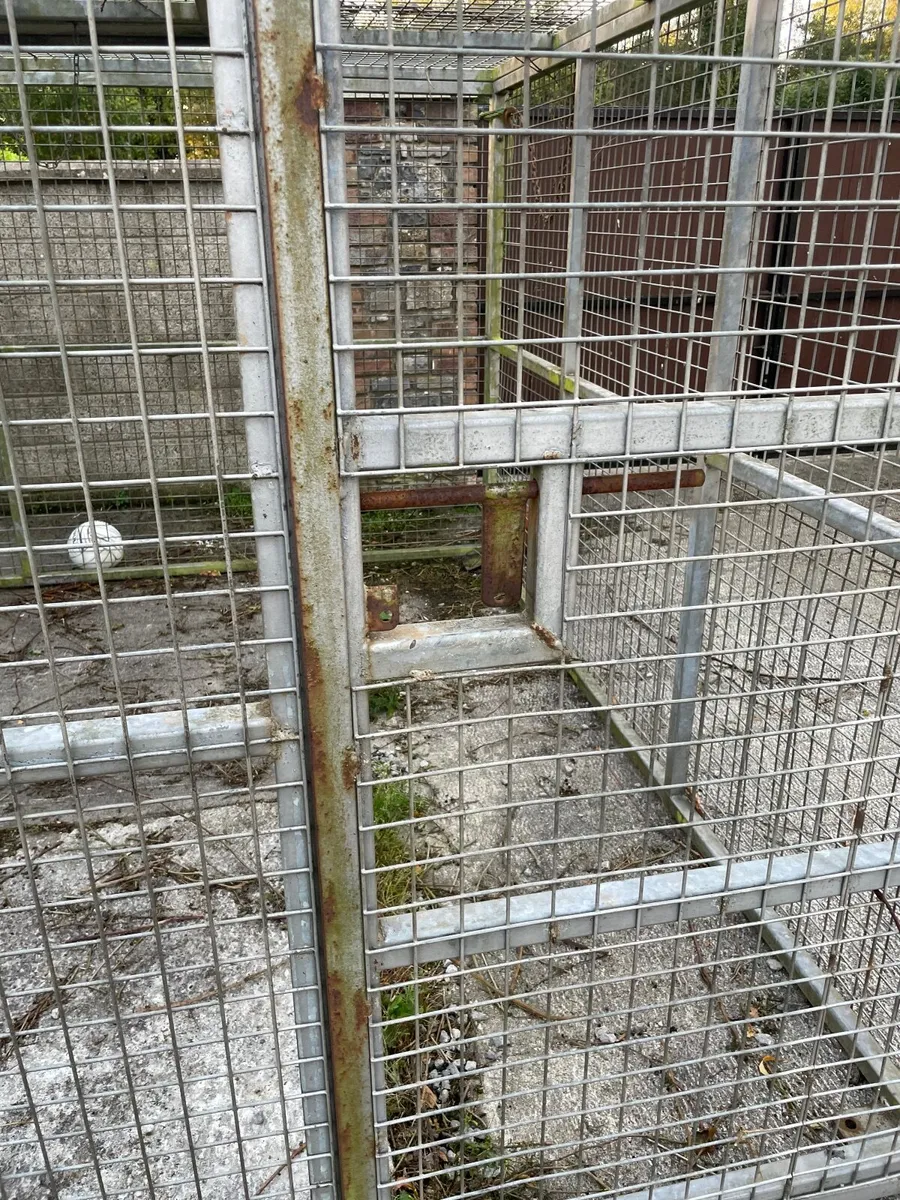 Dog run - Image 3