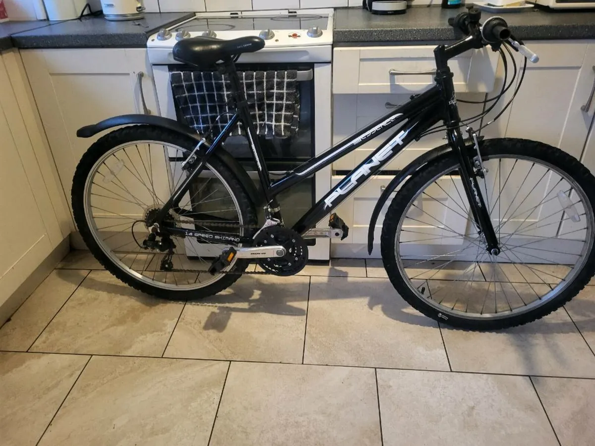 Bike - Image 1