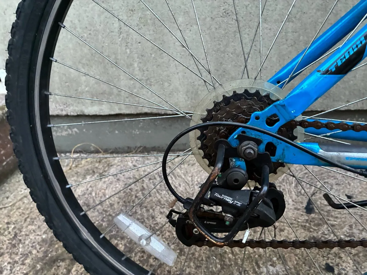 Bike - Image 2