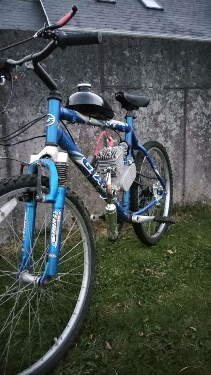 Brand new 80cc engine bike - Image 1