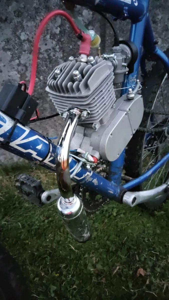 Brand new 80cc engine bike - Image 2