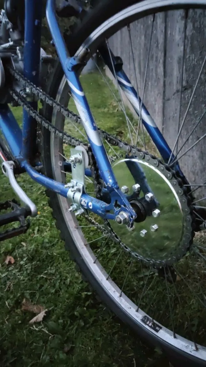 Brand new 80cc engine bike - Image 3