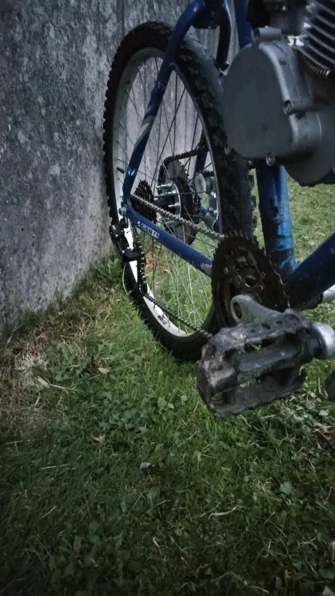 Brand new 80cc engine bike - Image 4