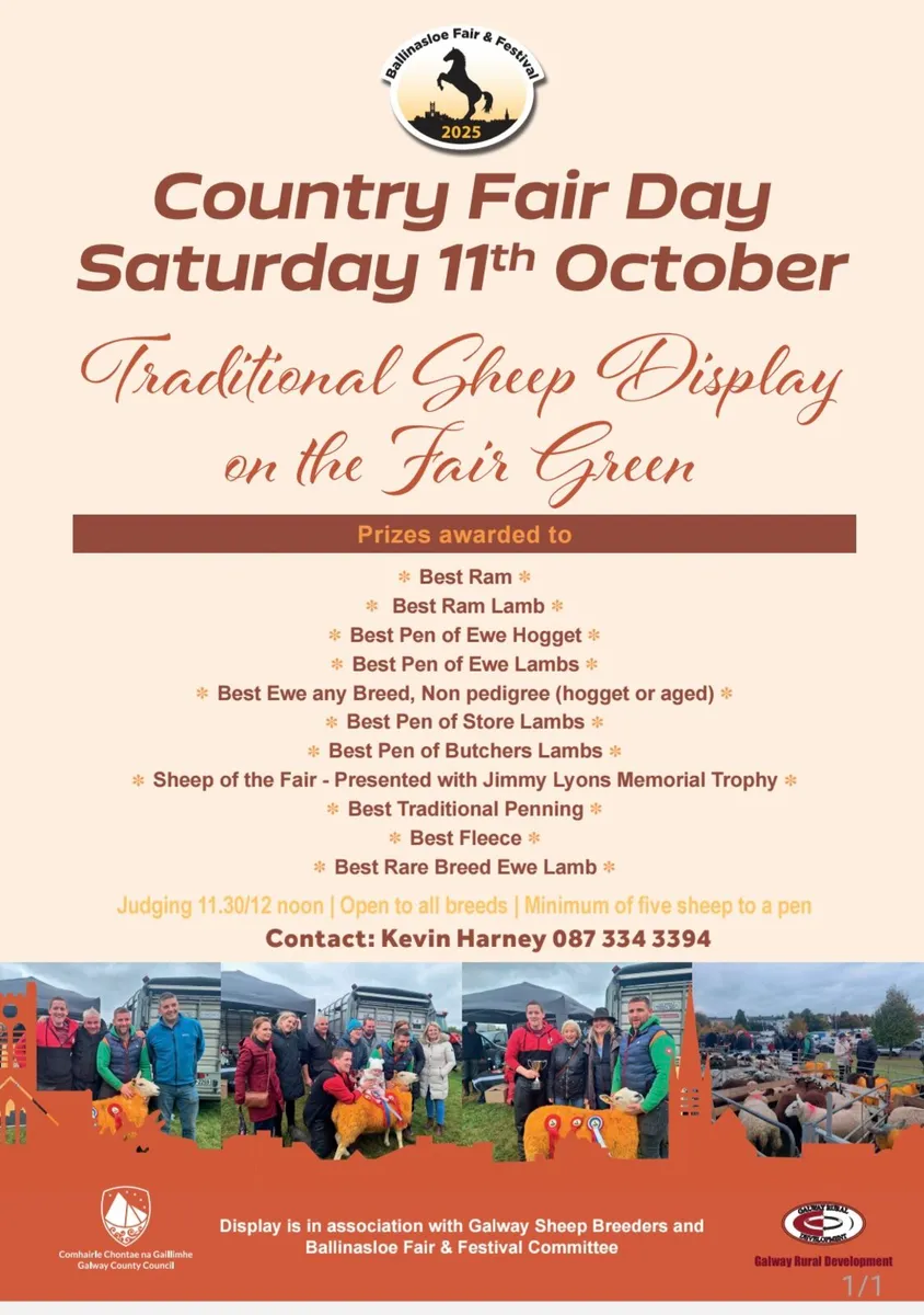 Ballinasloe Sheep Fair