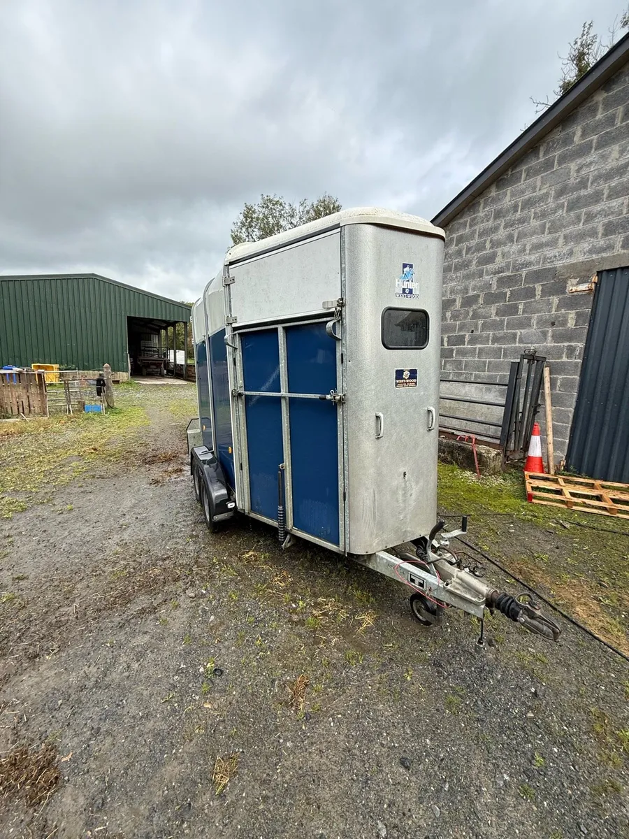 Ifor williams horse trailer - Image 1