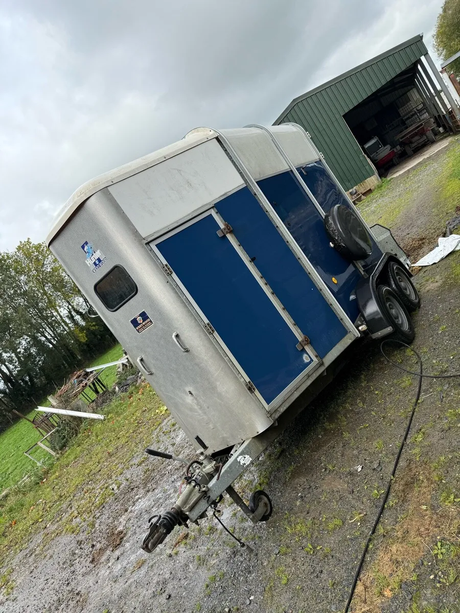 Ifor williams horse trailer - Image 2