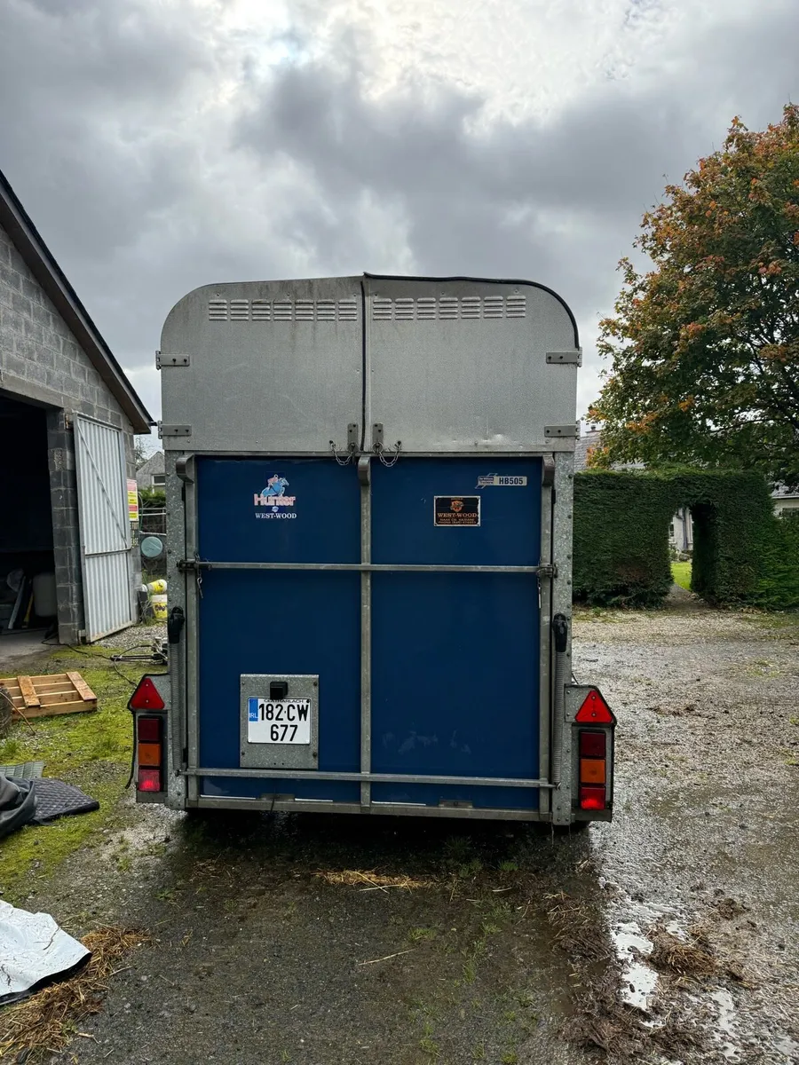 Ifor williams horse trailer - Image 3
